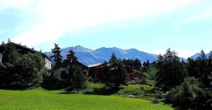 Appartements Charmant studio tout equipe Auron 4-5p : photos des chambres