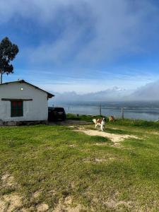 Mirador de las aguas