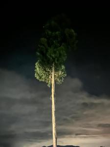 Mirador de las aguas