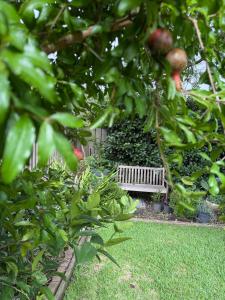 Jacaranda Cottage 5 min by Train or 7 min drive to Parramatta City