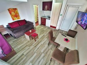 Vila Aleksandra 2 Studio 14