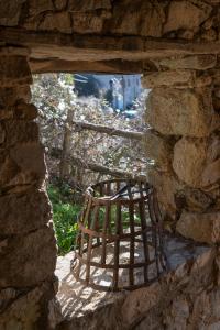 Sejours a la campagne Relais - U Machjonu : photos des chambres