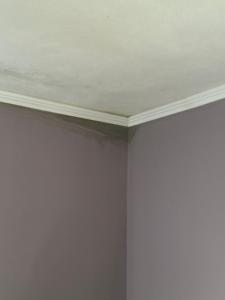 Apartament cu 4 camere