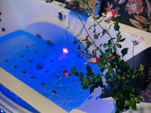 Studio cosy avec jardin et spa à Montaigu-le-Blin - FR-1-489-520