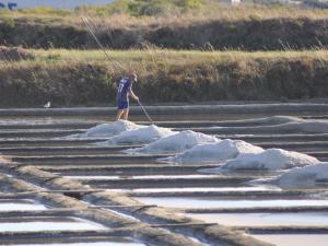 Maisons de vacances Charmant Studio avec Jardin a Guerande, WiFi inclu - FR-1-306-1293 : photos des chambres