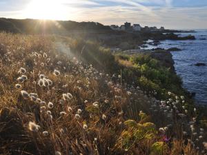 Maisons de vacances Charmant Studio avec Jardin a Guerande, WiFi inclu - FR-1-306-1293 : Maison de Vacances