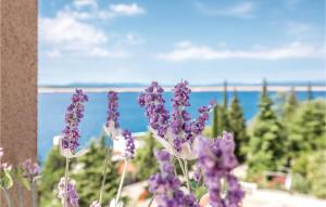 Stunning Apartment In Crikvenica