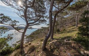 Awesome Apartment In Novalja