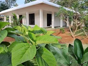 Sebastian's Oasis - Mararikulam