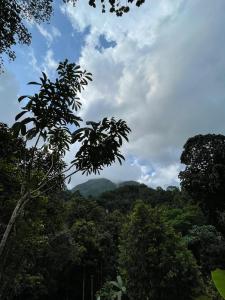 Gallene Gala Nature Resort