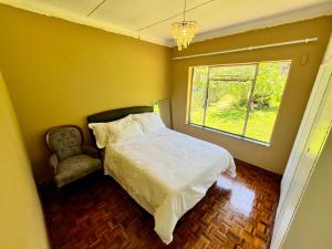 The African Flamingo