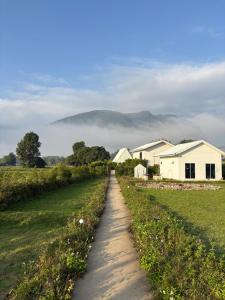 Paradise Resort & Cafe