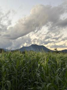 Paradise Resort & Cafe