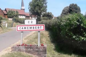 Appartements Studio cosy a Camembert - 20 m² avec terrasse et parking : photos des chambres