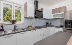 3 Bedroom Awesome Apartment In Veprinac