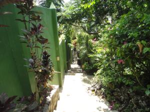 Argonauta Boracay Apartment Suites and Villas