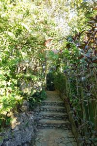 Argonauta Boracay Apartment Suites and Villas