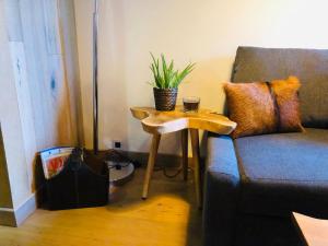 Cosy duplex with Hammam-Steamroom in Rochebrune