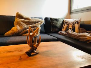 Cosy duplex with Hammam-Steamroom in Rochebrune