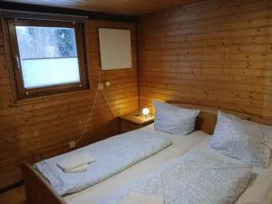 Gemütliches Ferienhaus im Grünen - St. Blasien