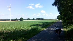 semi detached rural house