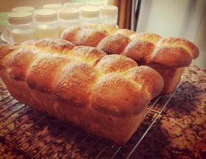 Sejours a la campagne La Tiny du Grand Bois - Petit dejeuner inclus : photos des chambres