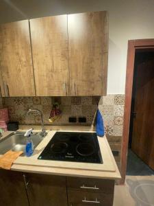 استديو فاخر للإيجار في فيلا