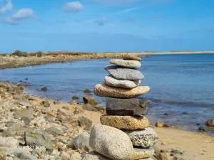 La bruyère - 特雷吉耶