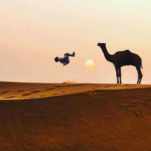 Arman Desert Luxury Camp & Resort Jaisalmer