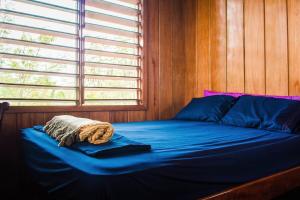 The Retreat at Finca Solana, Corozal, Belize