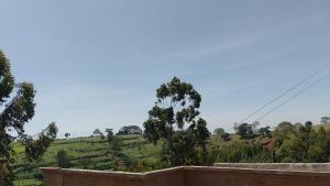 Limuru Green