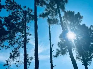 Lavender Hills Homestay - Ambagamuwa