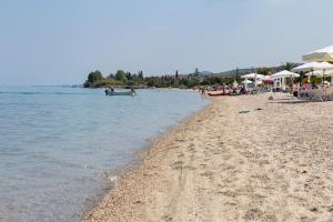 Villa Sonora - Beachfront, Amazing Garden, Panoramic Sea View