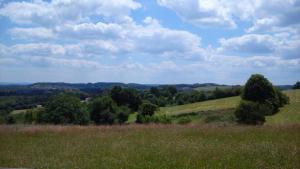 Domaine Bois De Capy