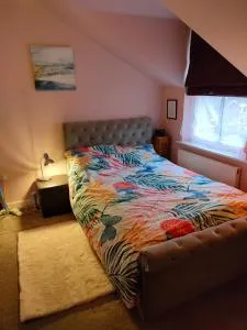 Cosy flat in town centre - Wellington