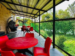 kokan kinara by wild flower