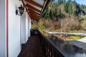 Apartment Todtmoos 4