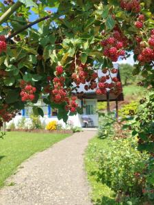 Osada Leonówka Bieszczady