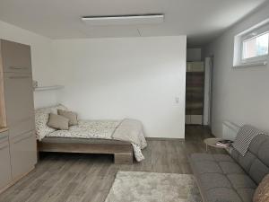 Apartmán Mašovice u Znojma