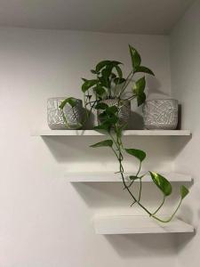 S residence, Mall of Asia Area