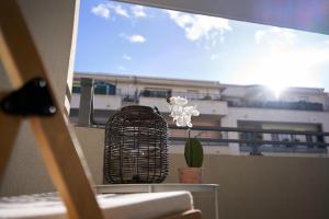 Belle Escale - T3 cosy avec grande terrasse