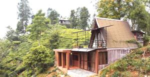 The Backyard Balangoda
