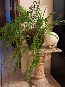 Condomino Bi Nacional