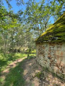 Maisons de vacances La Ferme de Belbouys : Maison 4 Chambres