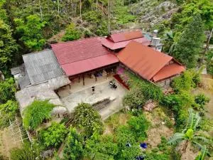 Homestay Loan Ươi - Ly Tzeu Ping