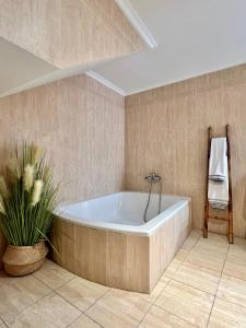 Apartamentos San Antonio