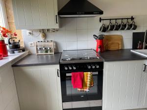 Maisons de vacances La Ferme de Belbouys : photos des chambres