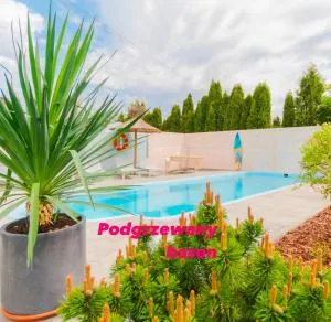 Puszczykowo - Nowy Dwór Gdanski