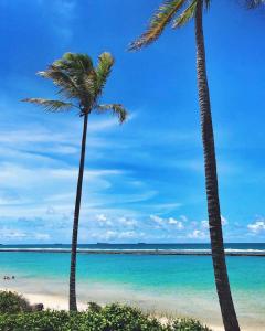 Nannai Residence Experience