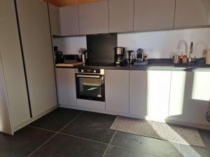 Chalet 4 chambres, confort moderne, Arêches-Beaufort - FR-1-342-331